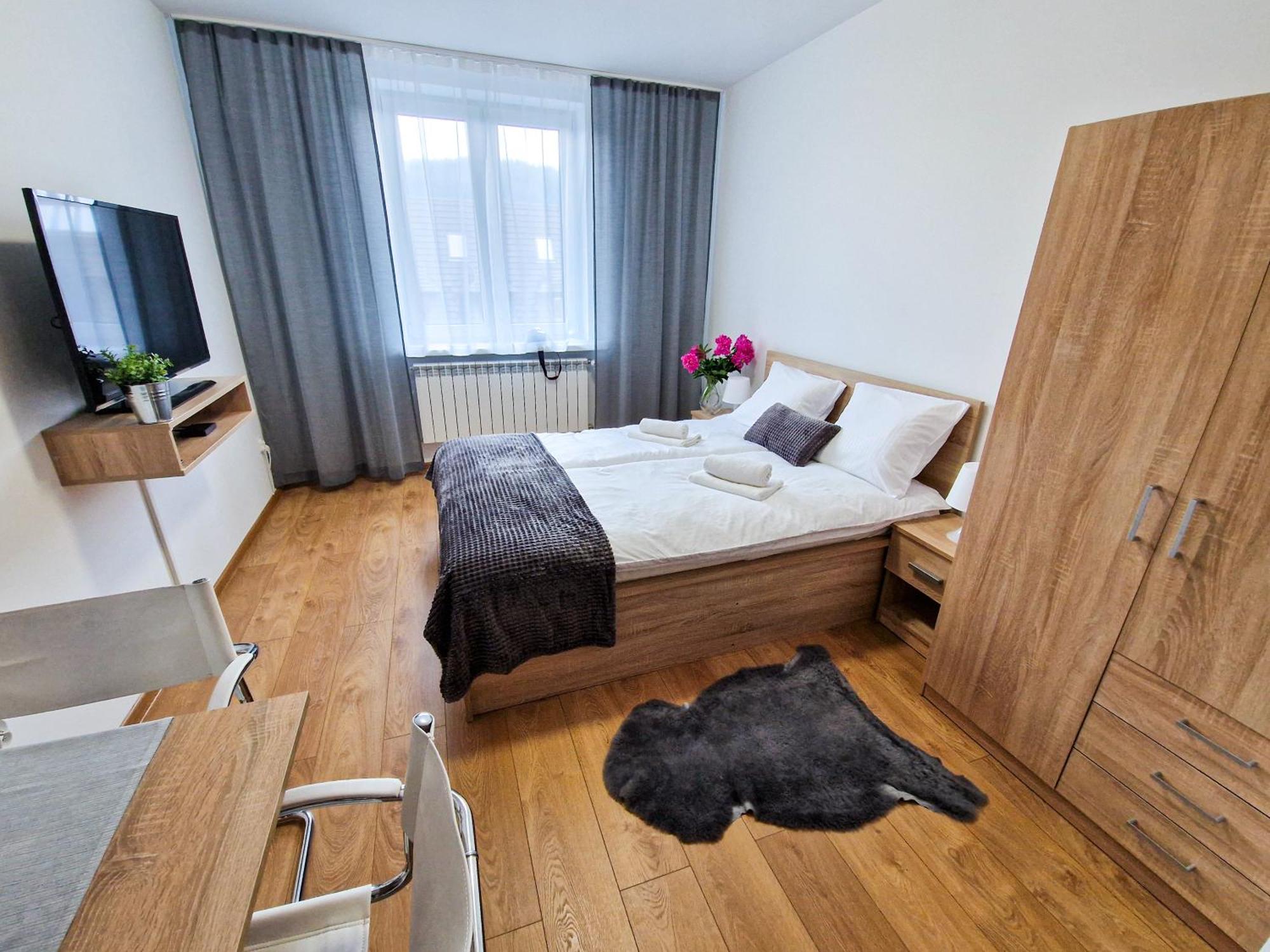 Deluxe Apartment